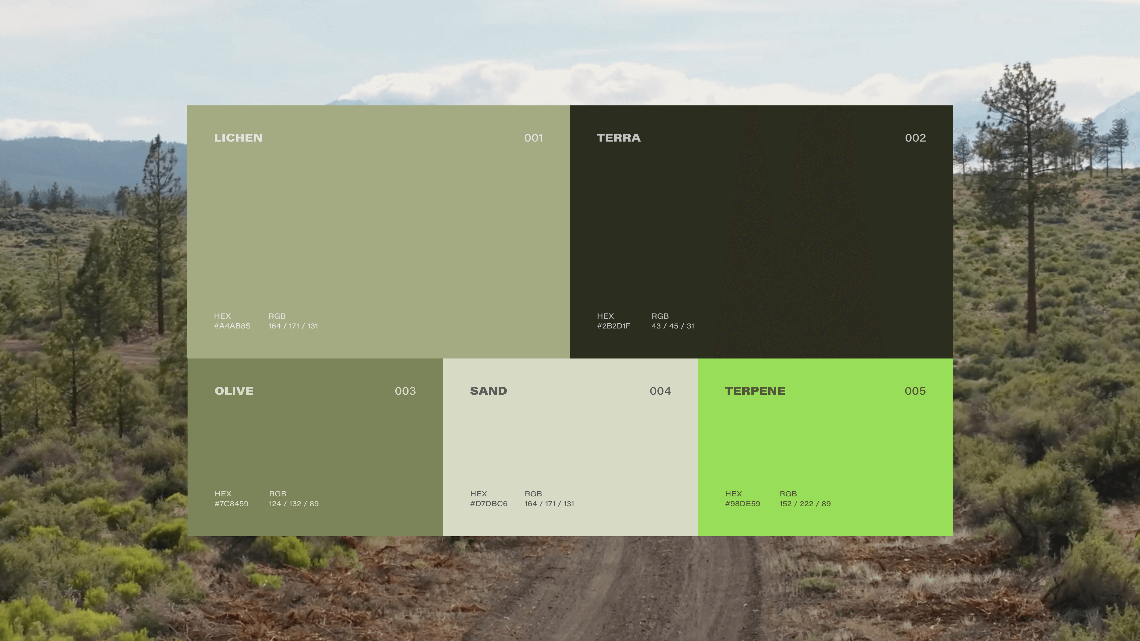 Down Shift Color Palette